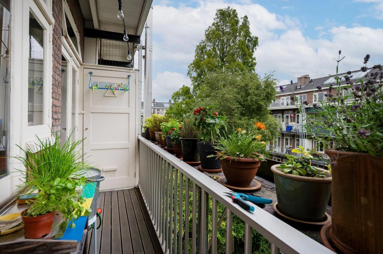 Apartment Sandra Amsterdam Exterior photo